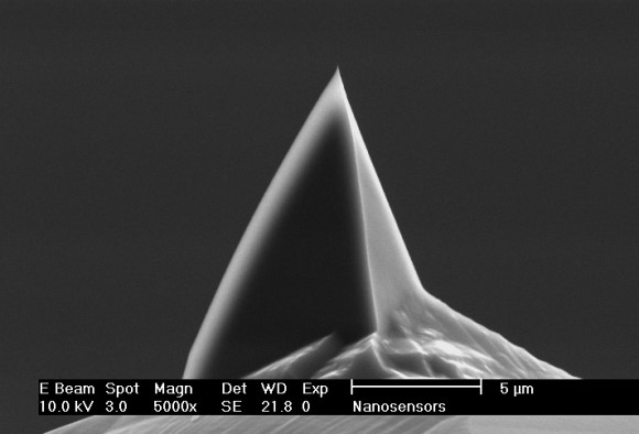 NANOSENSORS™ Special Developments List (SDL) Phosphorous doped PointProbe® Plus AFM tip